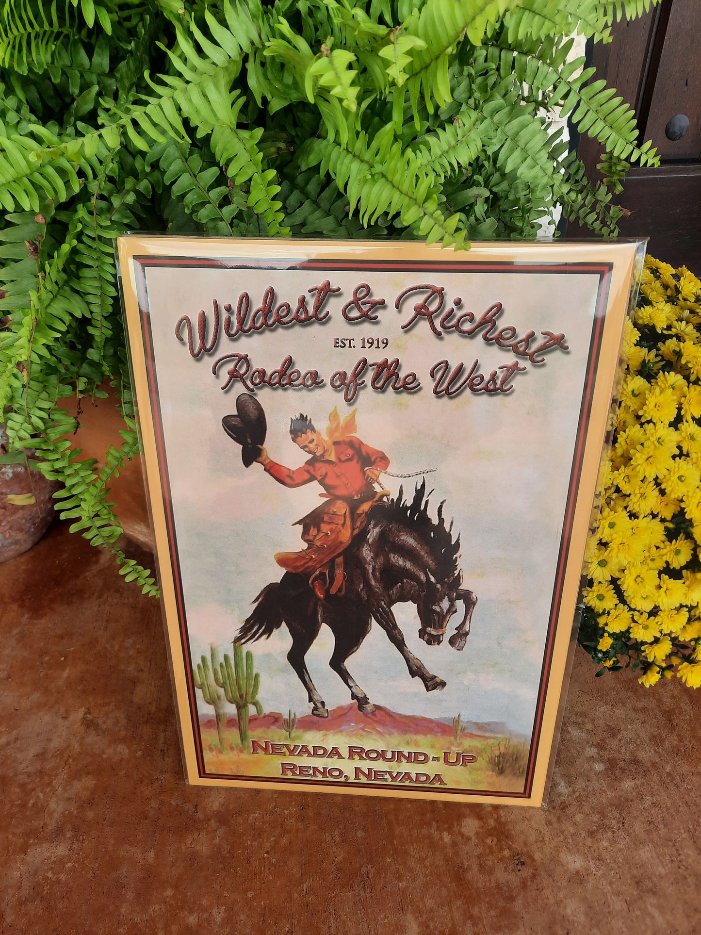 Wild & Richest Rodeo Poster
