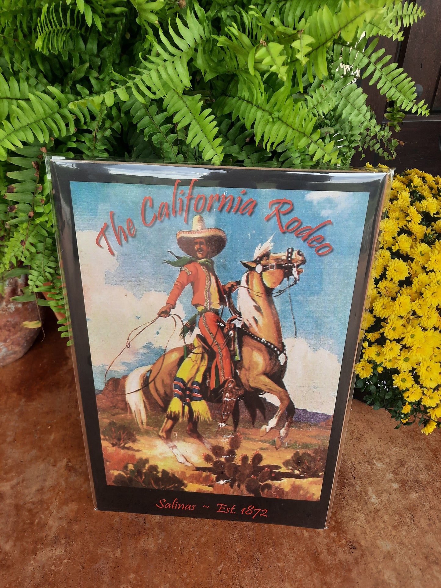 The California Rodeo Poster