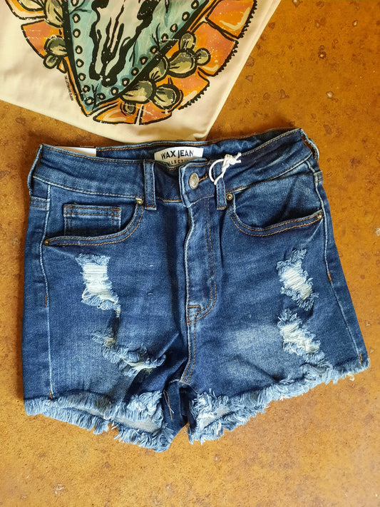 Distressed Denim Shorts