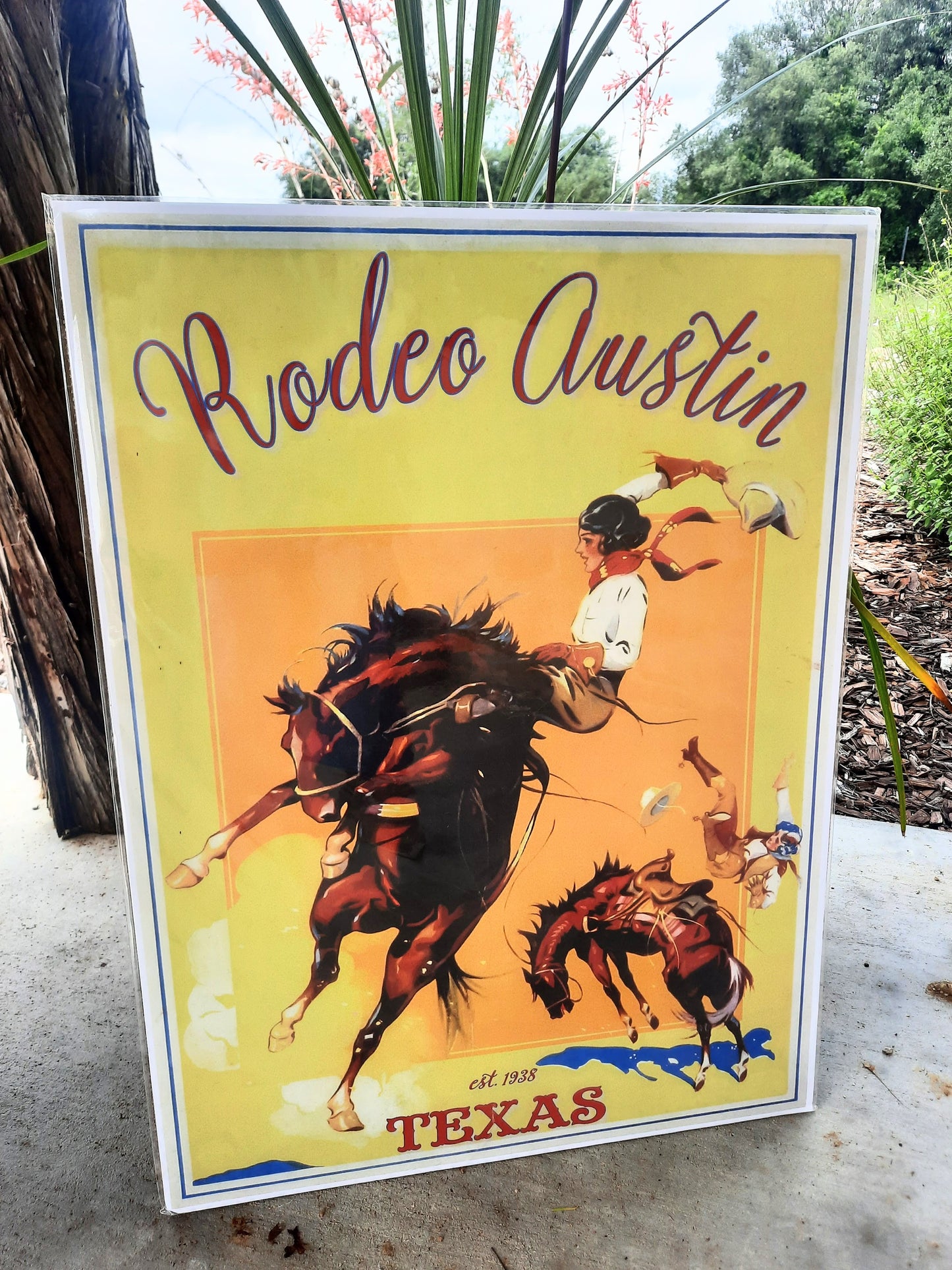 Rodeo Austin Poster