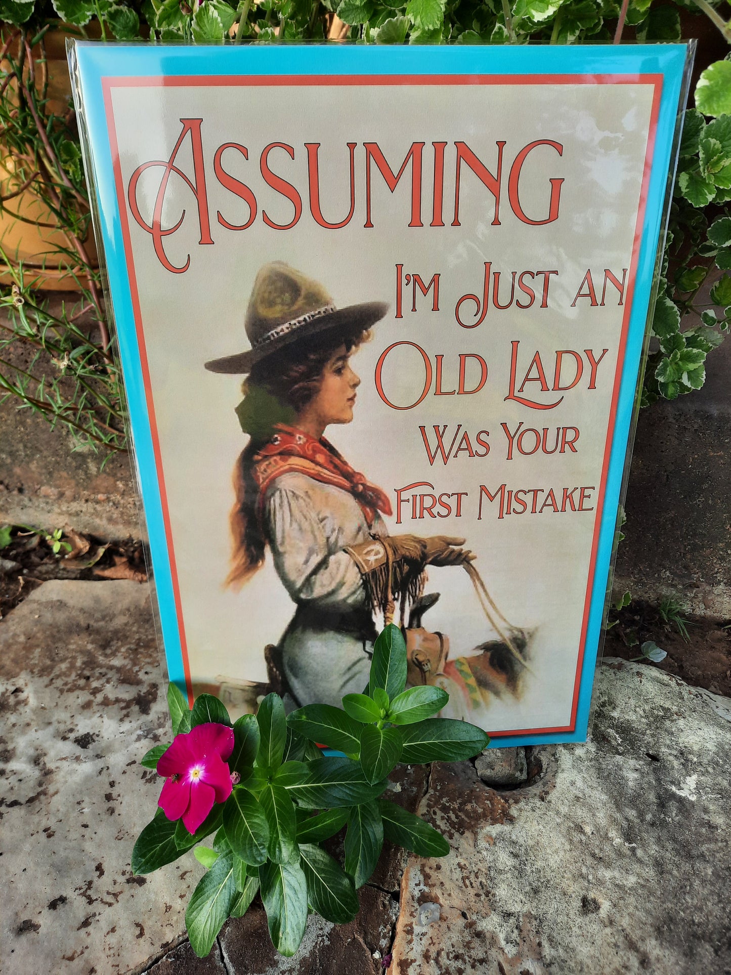 Do Not Assume Poster