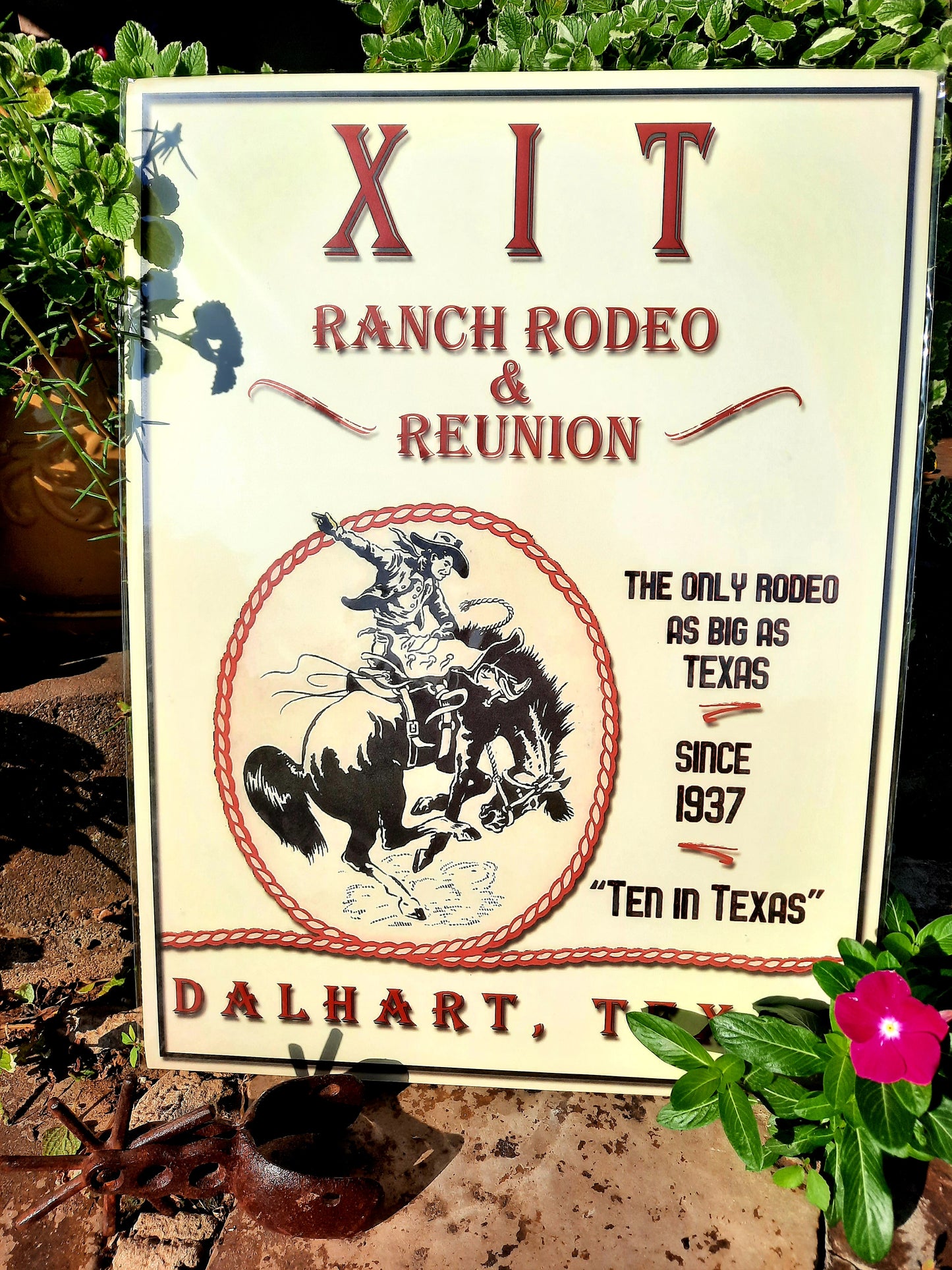 XIT Poster