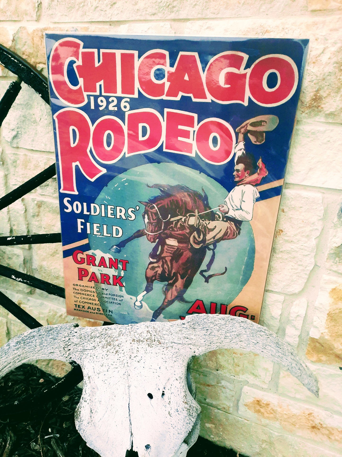 Chicago Rodeo Poster