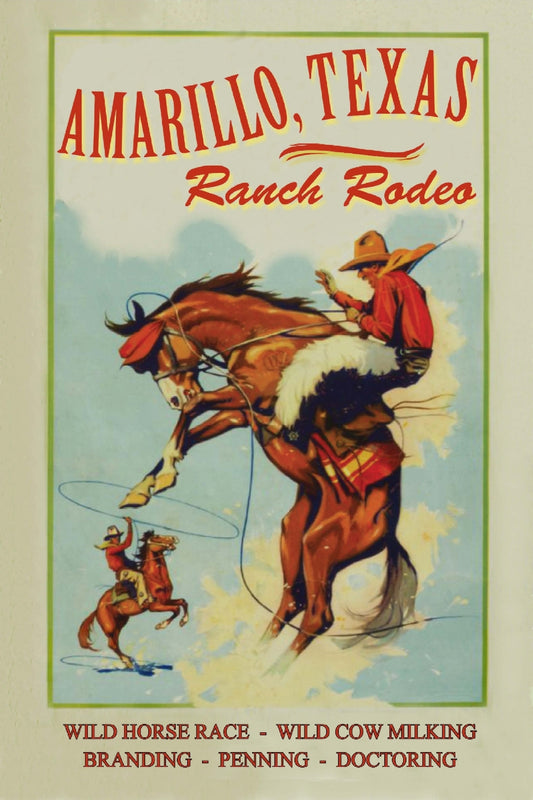 Amarillo, Texas Poster